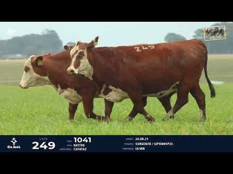 LOTE 249   TAT 0847, 1041 F Braford