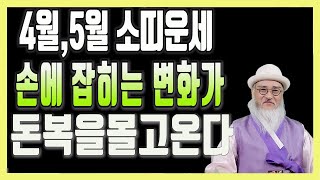 [4월,5월 소띠운세]새로운 변화 재물운을 몰고온다/ 먼저 잡은 소띠가 무조건 임자다(97년생,85년생,73…