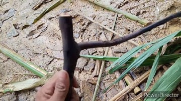 Cara membuat jebakan burung bongkar pasang