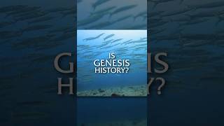 How Do Fish Swim So Fast?