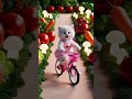 Chef Whisker&rsquo;s Magical Garden Ride 🚲✨ | A Cozy Cat Adventure"#catchef #cutecat #shorts #catai