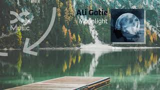 Ali gatie - moonlight