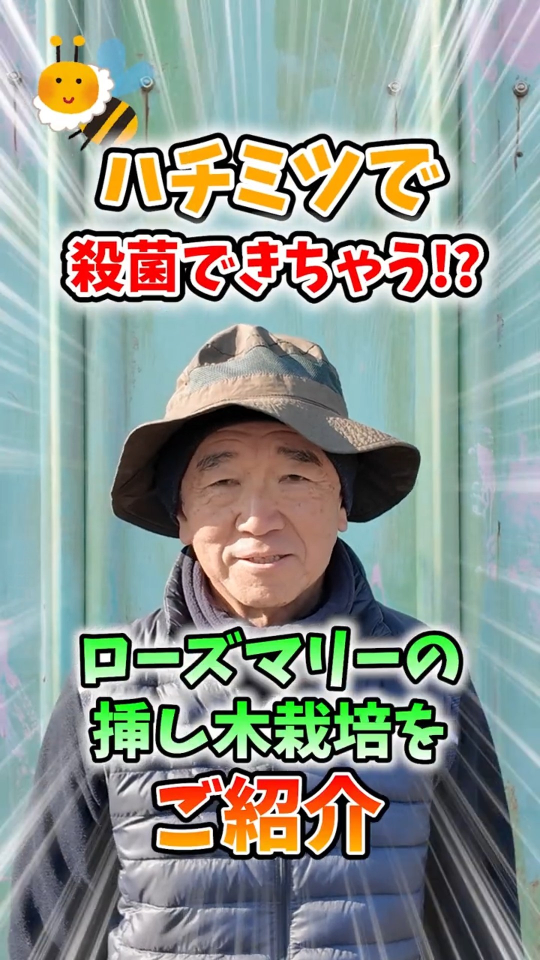 Sterilize cuttings of rosemary grown in home gardens and farms