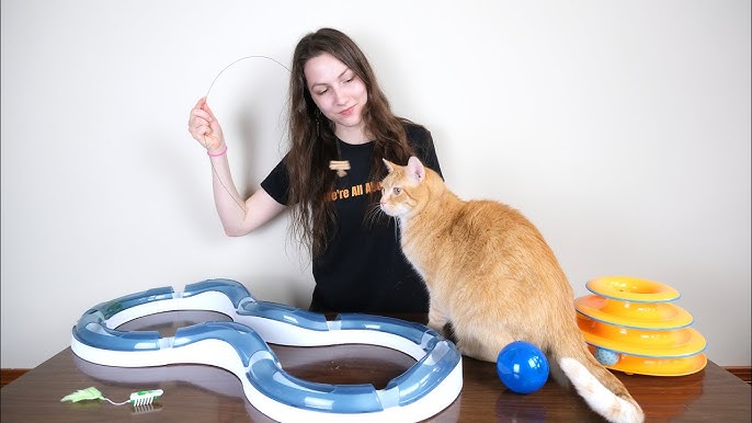 CHEERBLE Automatic Smart Interactive Cat Ball Toy – savvypetz