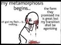 My Metamorphosis Begins