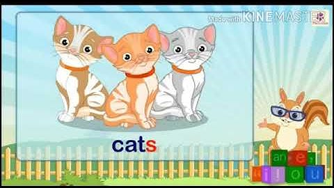 MLZS JHANSI CLASS 2 English Singular and Plural