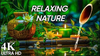 Beautiful nature video \& relaxing music