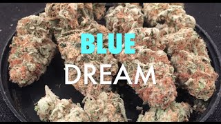 HAPPY 420 BLUE DREAM strain review AMAZING CANNABIS?!