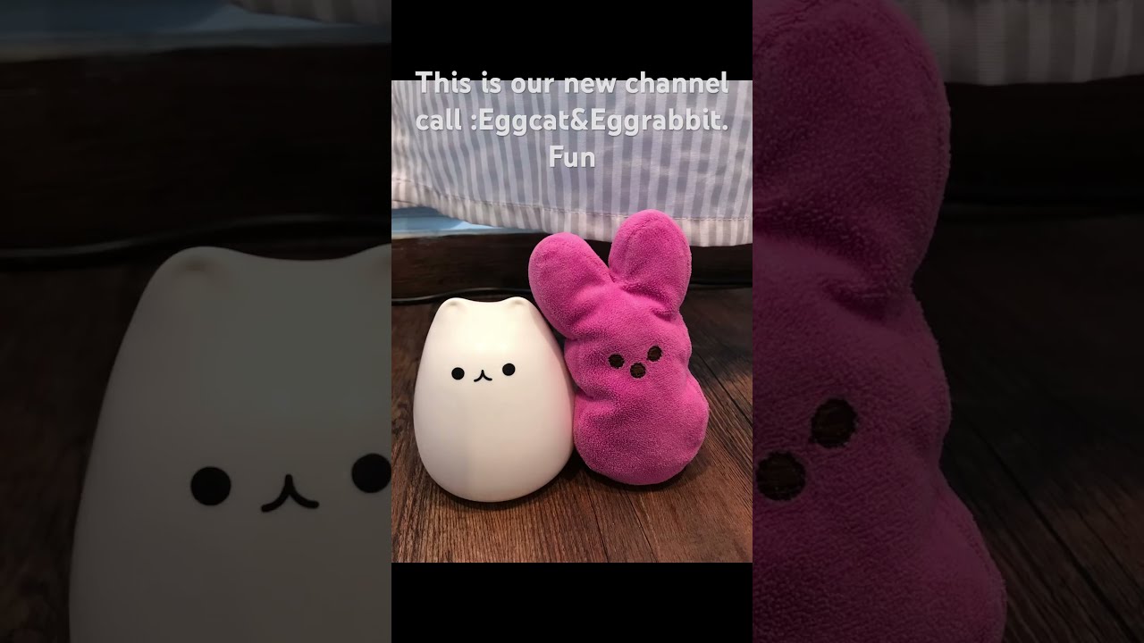 Hewwo This Is Eggcat Eggrabbit Fun S First Video 