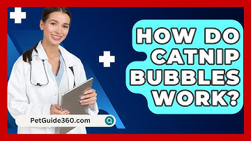 How Do Catnip Bubbles Work? - PetGuide360.com