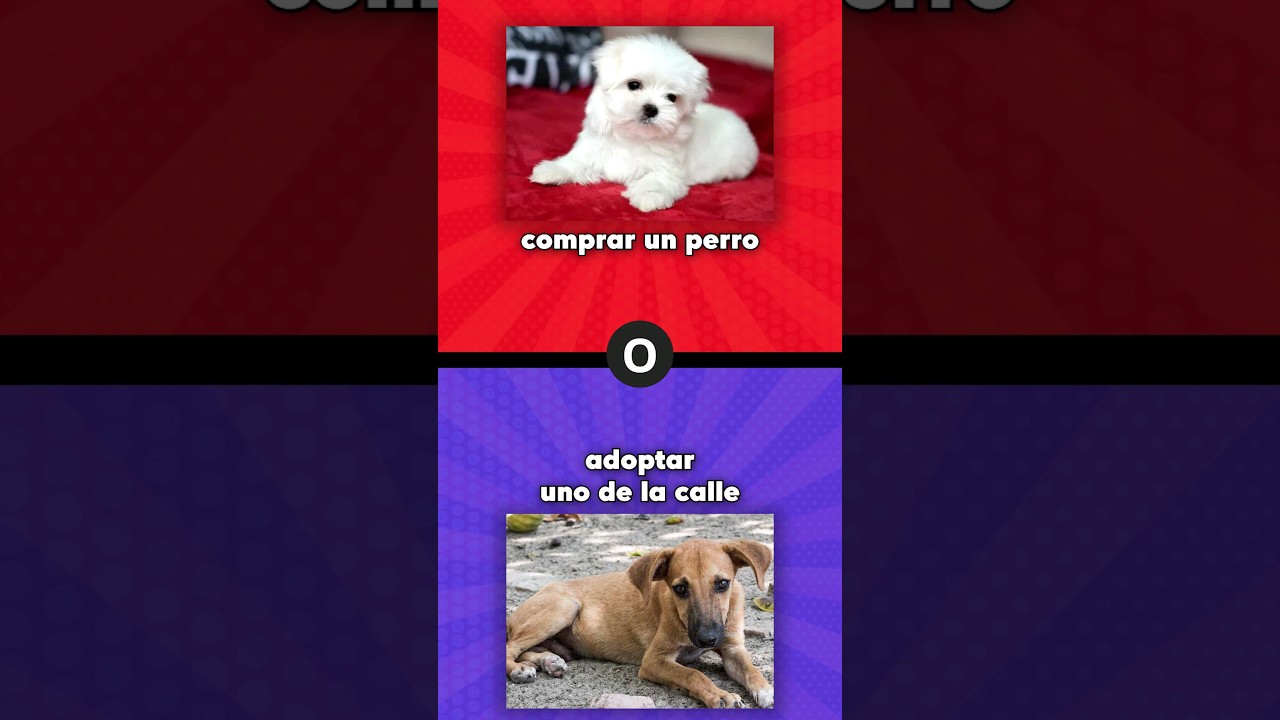 Que prefieres? 🤔 Comprar un perro o adoptar uno de la calle #queprefieres