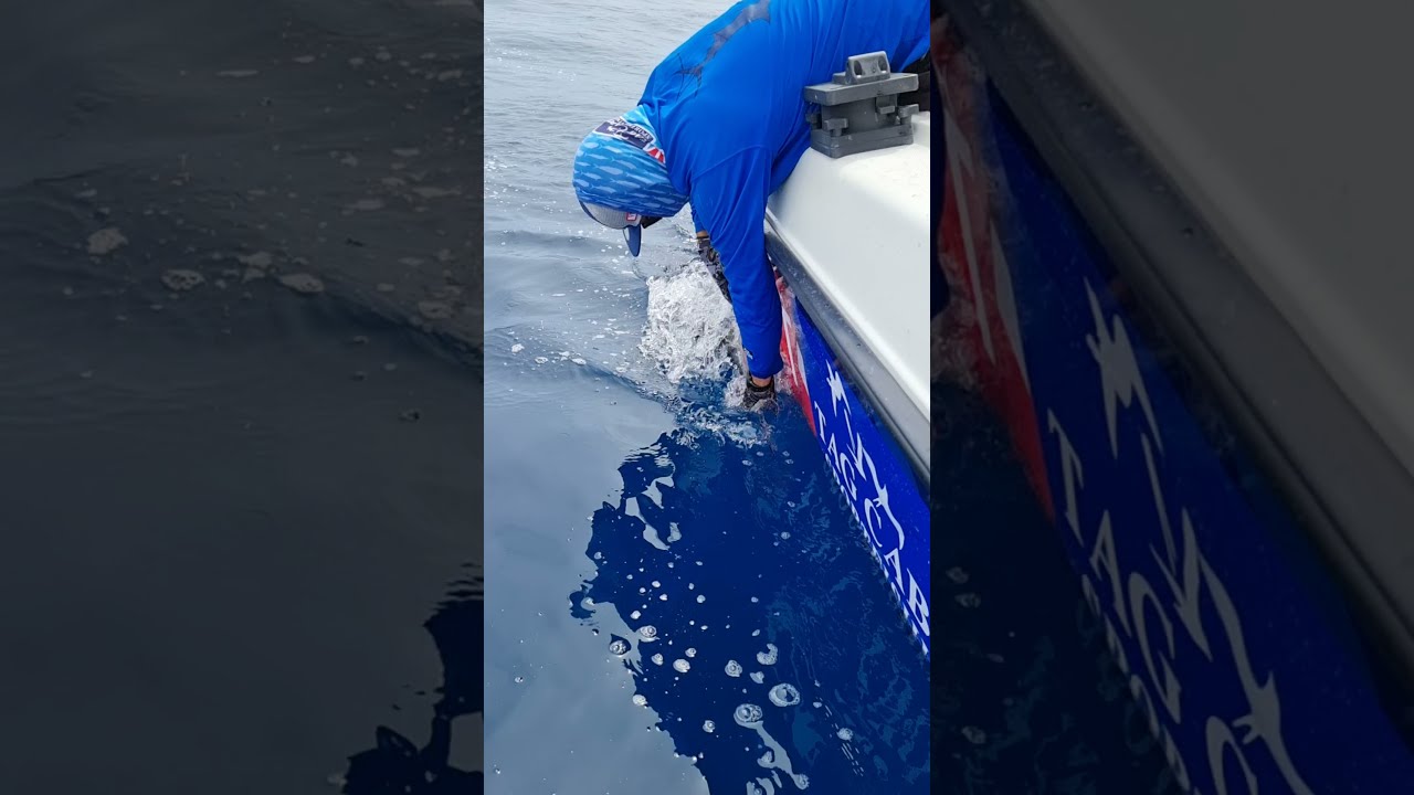 Marlin fishing in Cabo San Lucas