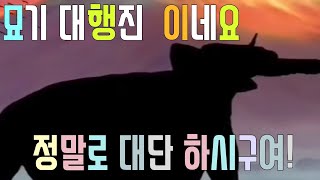 애완견과 야구 놀이. 새들의 묘기 대행진. '사람들이 모여서 동물 모양을 재현하였다'[아주 예술적이다]