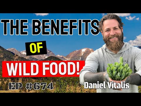 Daniel Vitalis - Reconnecting To Nature Through Wild Food!