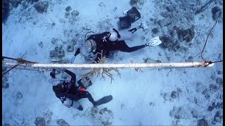 Reefs Go Live - mapping and restoring endangered coral species mini-documentary