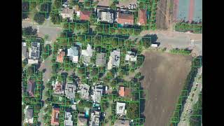 detect trees on ortho using neural networks