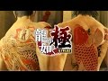 Yakuza Kiwami OST - 13 Receive You the madtype - YouTube