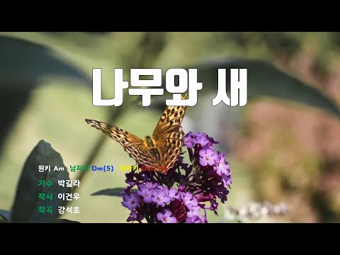 [은성반주기] 나무와새 - 박길라 /MR/가사