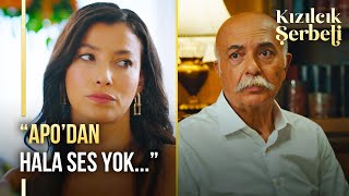 Alev'in aklı Apo'da kaldı! | Kızılcık Şerbeti 30. Bölüm