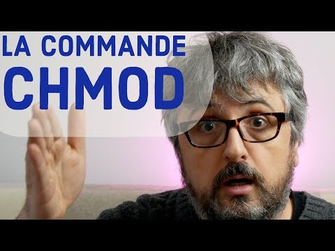 Vidéo: Quelle commande change le propriétaire du groupe de fichiers ?