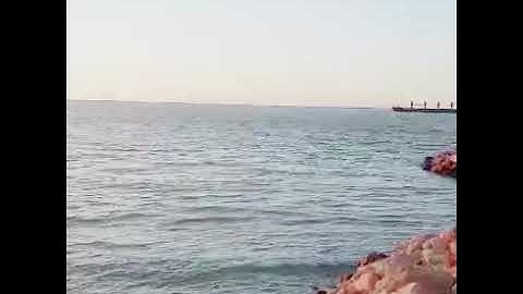 تلاوة خاشعة .. وإيات بينات من الذكر الحكيم