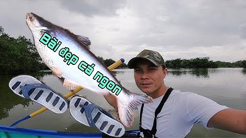 Chi tiết địa điểm câu cá Sông Sài Gòn giá 20k giật thỏa ga - Anh em hỏi mấy hôm nay | DUY FISHING T6