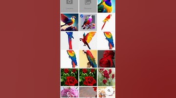 Creat videos with AI #technology #aitools #krea.ai #fruits #transformation #shorts