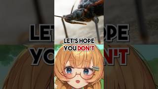This Bug KISSES You in Your SLEEP?!
