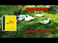 🐔🐥🐥ПРИМЕНЕНИЕ БИОПРЕПАРАТА ВЕТОМ ДЛЯ ЦЫПЛЯТ И ДРУГОЙ ПТИЦЫ