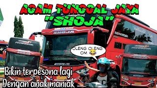 BUS AGAM TUNGGAL JAYA KEMBALI TEBAR PESONA|| Versi dj Cidro 2 tiktok remix