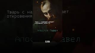 Попадёт ли ваш котик в Рай?🐱