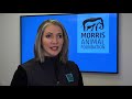 Morris Animal Foundation to award $1 million to research Australian wildfires' impact on wildlife
