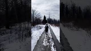 Trail Run Biskupia Kopa ⛰️ 890m, 10.5km / 569m⬆️, #trailrun #trailrunning #mountains #opawskie