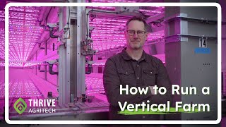 Running a Massive Vertical Farm: Lessons from 52,000 Sq Ft of Production