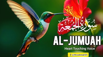 Marvelous Surah Al Jumu'ah سورة الجمعة | Relaxing Heart Touching Voice | @Msadeeq059 
