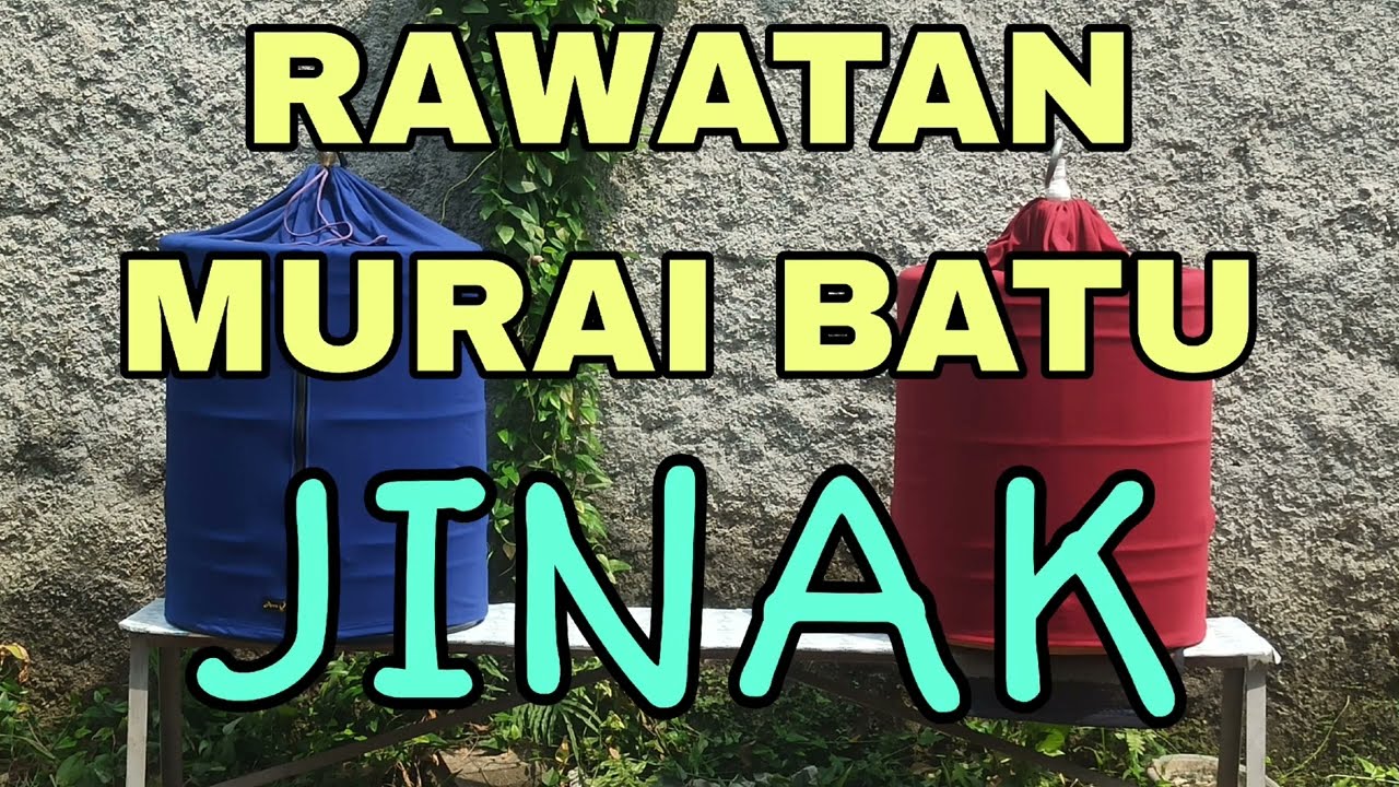 RAWATAN MURAI BATU JINAK TIPE DINGIN