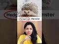 Guess the animal quiz #quiz #animalquiz #quizgames #animals  #quizzes #guessinggame #shorts #yt .