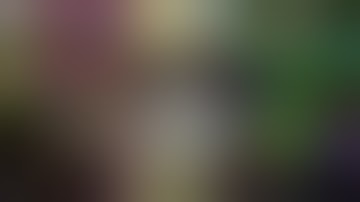 scan round 811 vs my scan videos and j cooley