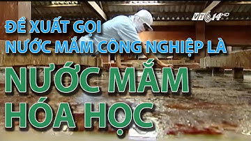 (VTC14)_Đề xuất gọi nước mắm công nghiệp là “nước mắm hóa học”