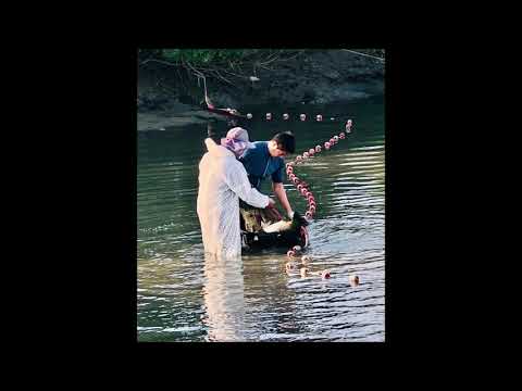 20201129新合發龍虎石斑年度總結束清池花絮