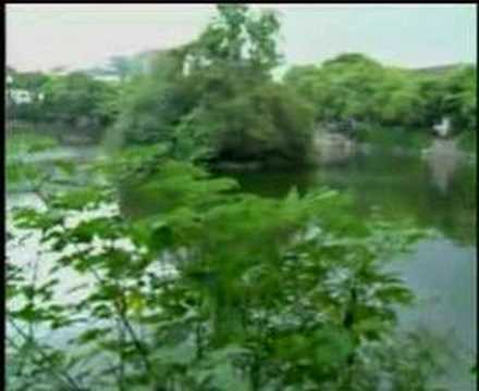 Ho lan su jap ma khi khoi ( Hakka love song )