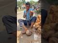 Amazing Coconut Husk Removal Technique. #viral #foryou #youtubeshorts #shorts