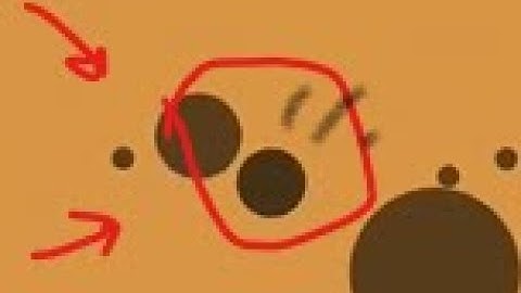 11.16 CircloO Level 1 World Record Speedrun