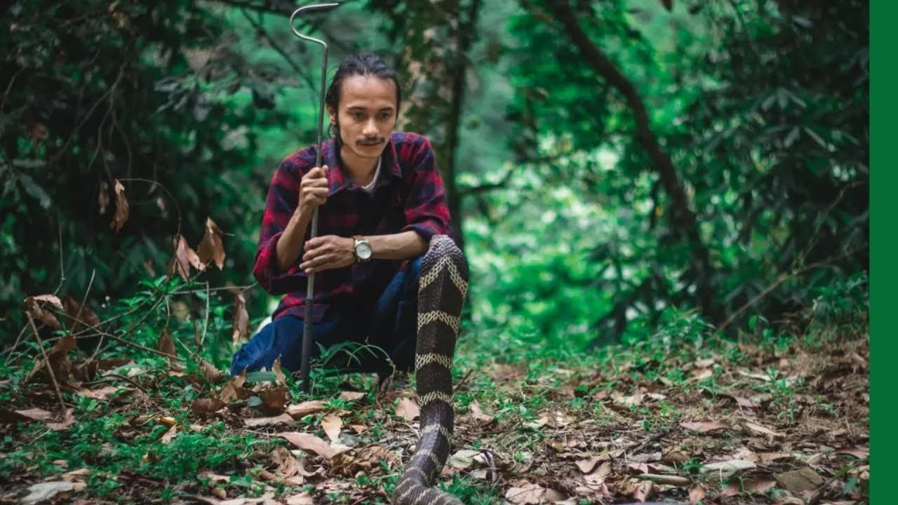 Snakes of Nepal - Rohit Giri