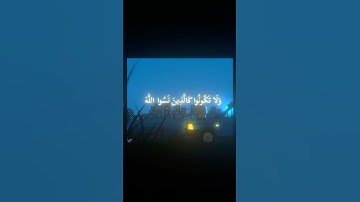 #قرآن #تلاوة_خاشعة #تلاوة_هادئة #المنشاوي #قران_كريم #راحة_نفسية #لايك