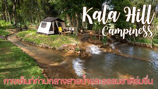 ลานกางเต็นท์อารมณ์เทพนิยายท่ามกลางธรรมชาติ | Kala Hill Campiness | พาลูกเที่ยว | ASMR