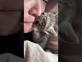Alguém sabe por que esse gato está agindo assim...? 😩 #cat #pets