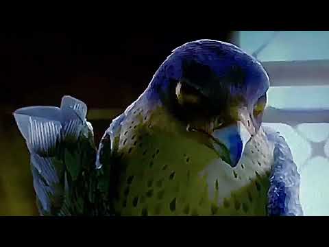 Falcon - “She Scams You, Okay? She Plays You Like a Harp!”