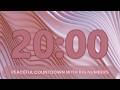 20 Minute Relaxing Timer ⏳ Peaceful Countdown with Big Numbers