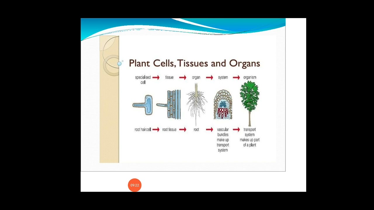 Biotechnology Semester-4 A lecture # 2